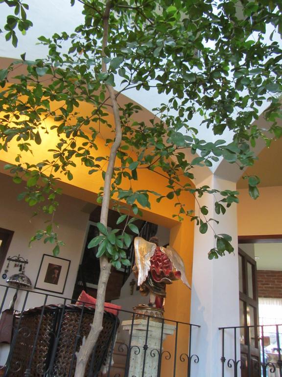 La Colorada Bed & Breakfast Zacualpan Luaran gambar